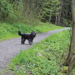 03 Im Mai im Allgäu